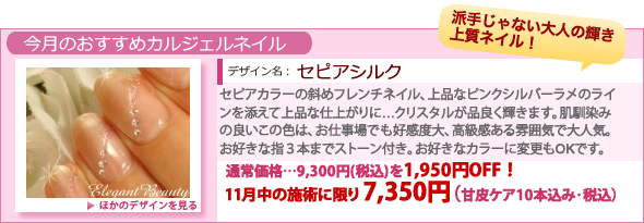 本厚木ネイルキャンペーン大人ネイル「セピアシルク」